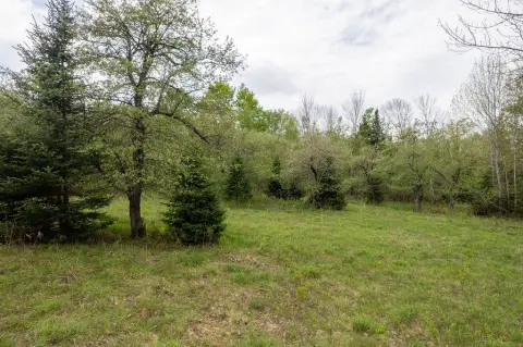 Hunting Land Parcel Portfolio
