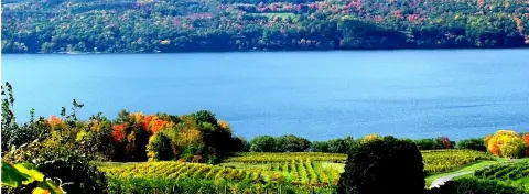 116-Acre Estate with Commercial Potential