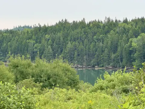 Waterfront Land with Harbor Frontage