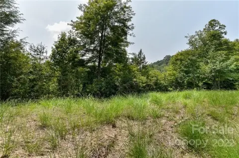 Residential Land in Marshall, NC