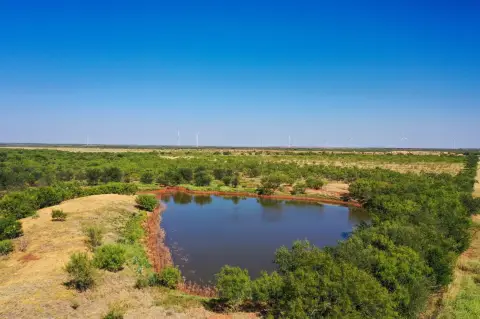 Cultivated Agricultural Land