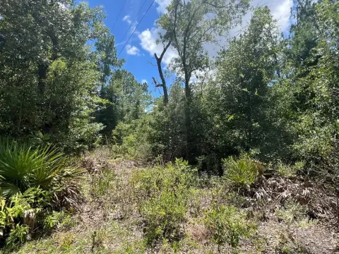 Land Near Suwannee River