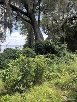 Waterfront Bayfront Land
