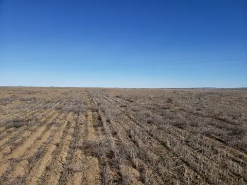 154 Acres Vacant Land