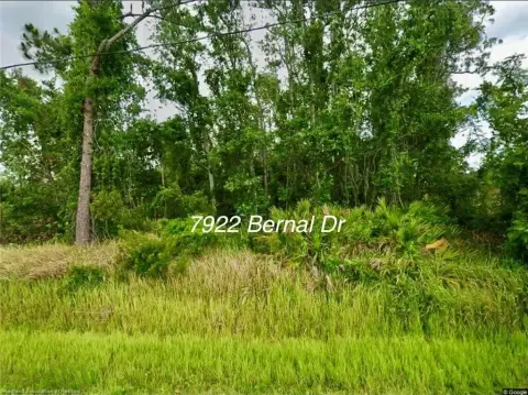 Residential Homesite Land
