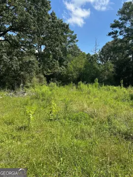 Residential Land in Conyers, Georgia