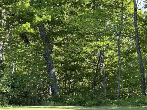 Rural Buildable Acreage with Spring