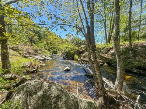 Waterfront Recreational Land with River Frontage