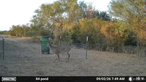 Native Brush Hunting Land