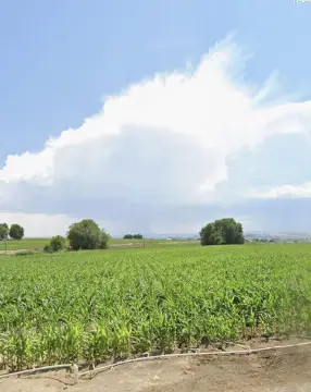 Scenic 5.79 Acre Property