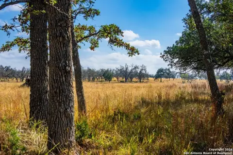 Texas Hill Country Land