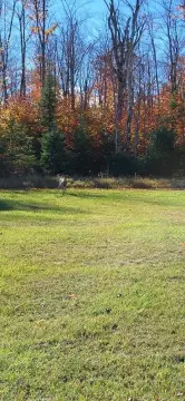 Bois Blanc Cleared Airport Lot