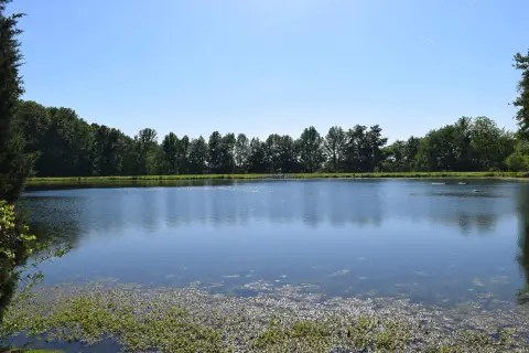 Wadesville Residential Land For Sale