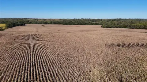 Tillable Farmland with Timber