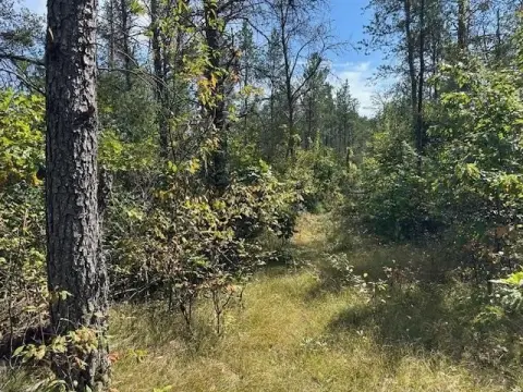 Wooded Land Parcel Near Lakes