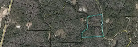 Wooded Acreage Near Steinhatchee River