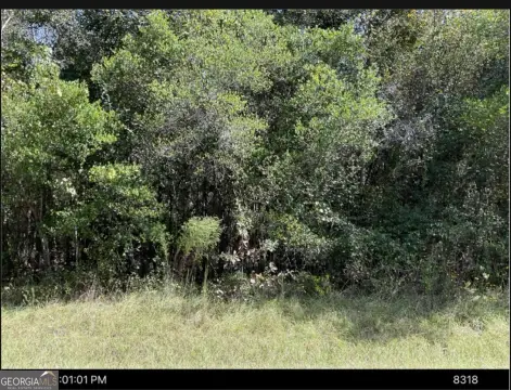 Land in Toomsboro, Georgia