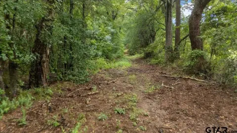 Wooded Recreational Land Acreage