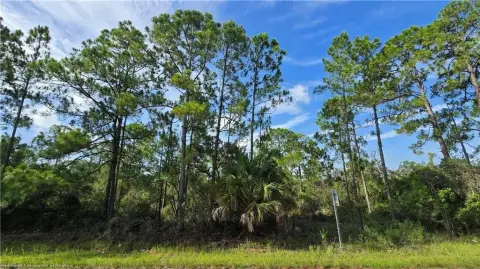 Residential Homesite with Conservation Backdrop