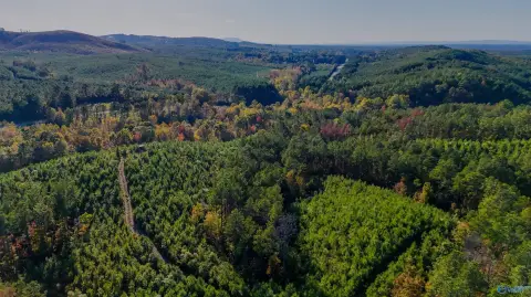 Timberland Farmland Tract