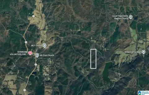 Hunting Land with Natural Springs