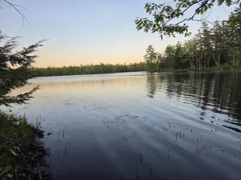Waterfront Wooded Parcel