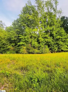 4-Acre Homesite Near Interstate 385