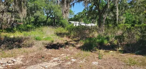 Residential Lots in New Port Richey