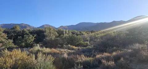 Juniper Hills Land For Sale