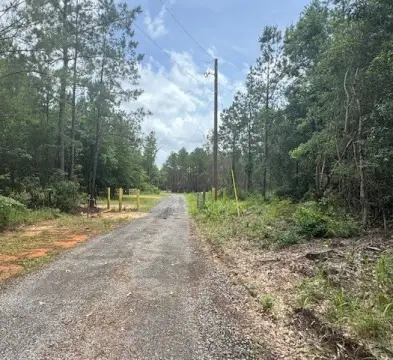 40 Acres of Vacant Land