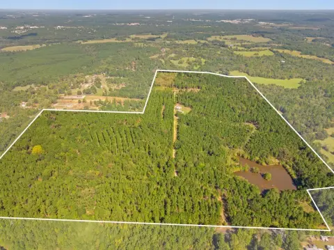 Managed Timberland with Ponds