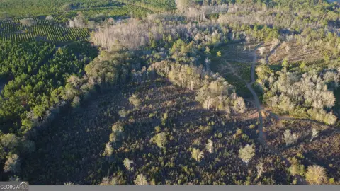 20 Acres on Fishing Creek