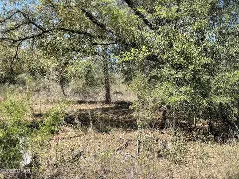 Bascom, FL 10-Acre Homesite