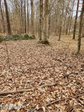 Waterfront Land in Holiday Island
