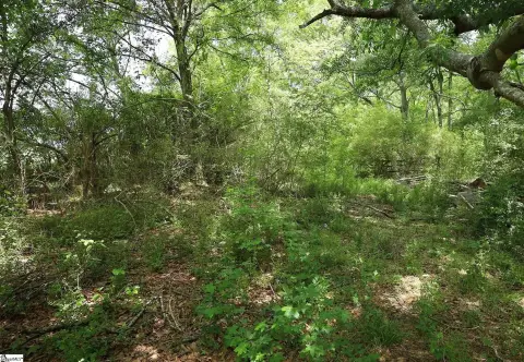15+ Acres on Highway 24