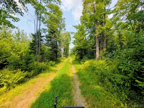 Wooded Hunting Land