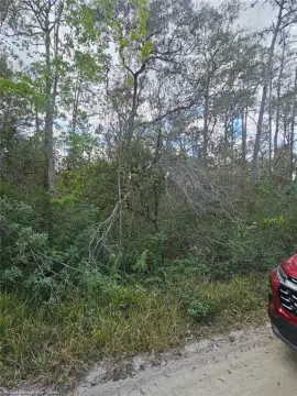 Waterfront Residential Land Lot