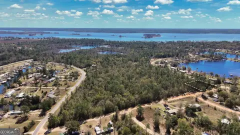 Lake Seminole Buildable Land