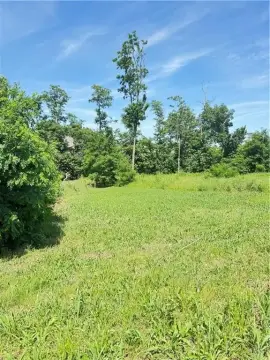 Residential Lot in North Fork