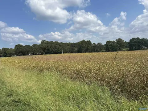 Land Parcel