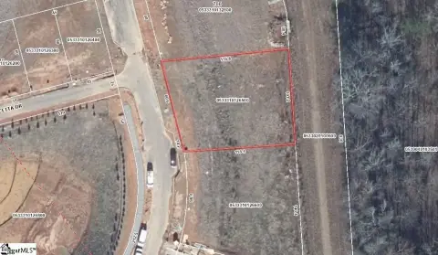 Residential Homesite in Hartness Community