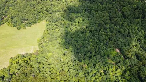Wooded Hunting Land