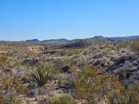 Terlingua Vacant Land with Views