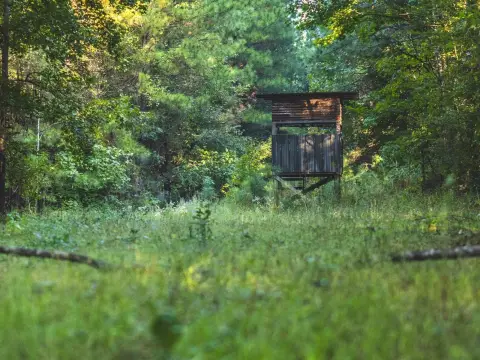 Rankin County Vacant Land