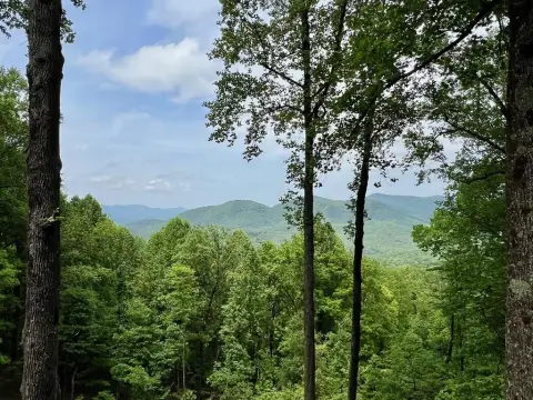 Ellijay, GA Vacant Mountain Lot