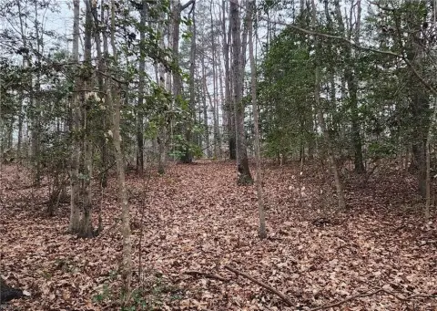 Secluded Acreage Near Courthouse Road
