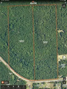 Phenix City Hunting Land