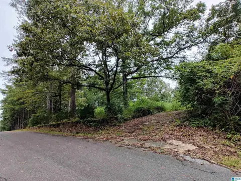 Residential Land in Pell City