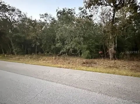 Vacant Residential Lot