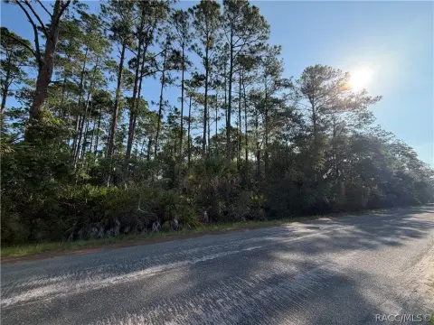 Buildable Residential Homesite